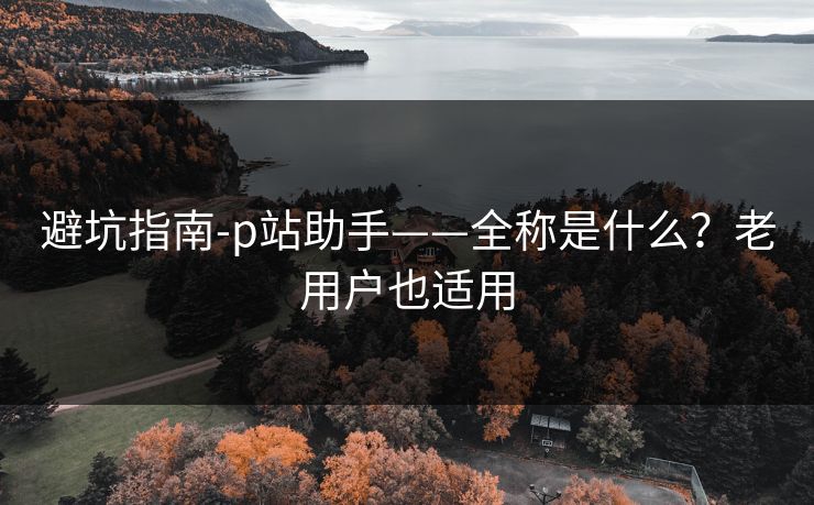 避坑指南-p站助手——全称是什么?老用户也适用 避坑指南-p站助手——全称是什么?老用户也适用