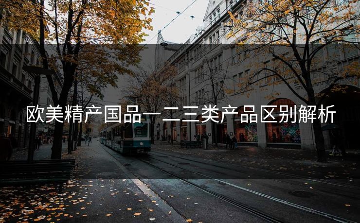 欧美精产国品一二三类产品区别解析